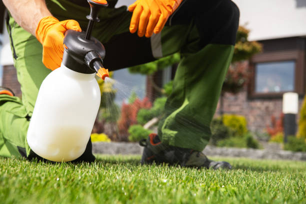 Best Mosquito Control Services  in Highland Lakes, AL
