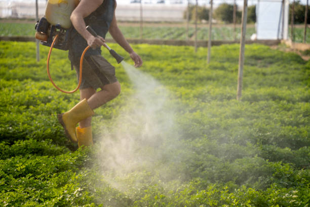 Best Affordable Pest Control Services  in Highland Lakes, AL