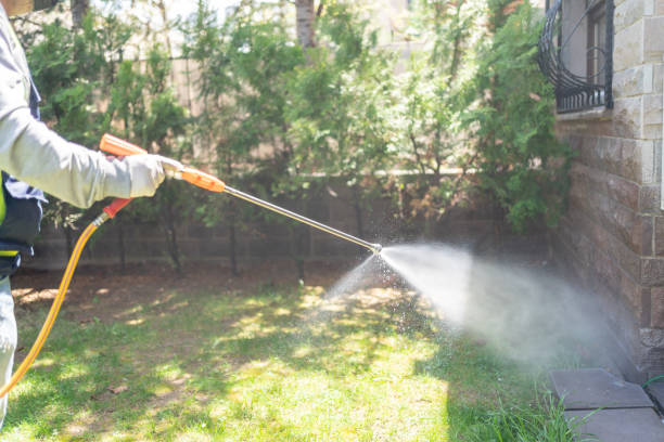 Spider Control Near Me in Highland Lakes, AL