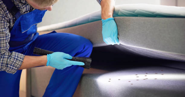 Reliable Highland Lakes, AL Pest Control Solutions