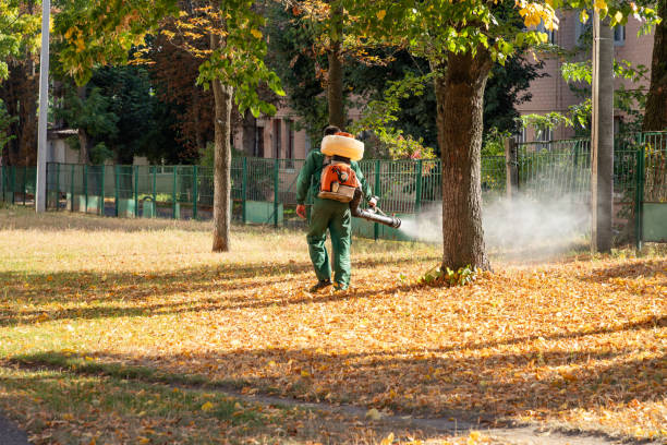 Pest Control for Restaurants in Highland Lakes, AL