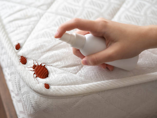 Best Pest Control for Restaurants  in Highland Lakes, AL