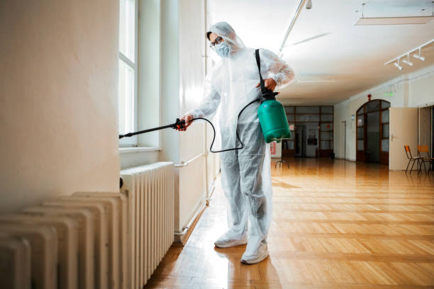 Best Termite Control Services  in Highland Lakes, AL