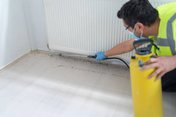Best Pest Control Near Me  in Highland Lakes, AL