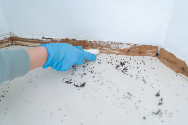 Best Commercial Pest Control Services  in Highland Lakes, AL