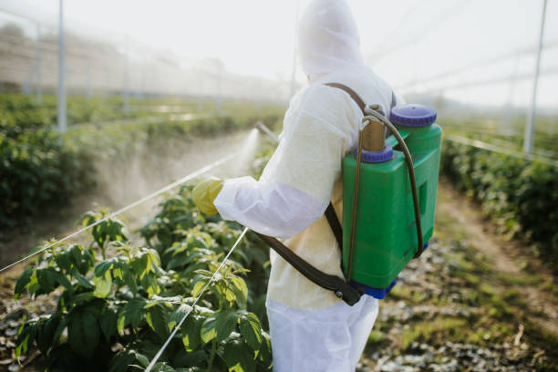 Flea Control Services in Highland Lakes, AL